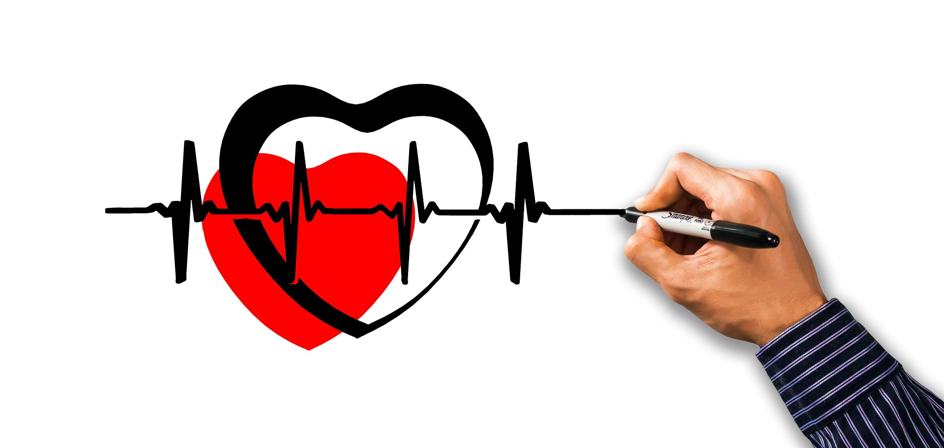 appareil cardiaque holter