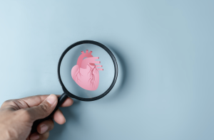 10 astuces pour un cœur en bonne santé : Vers un équilibre cardiaque optimal