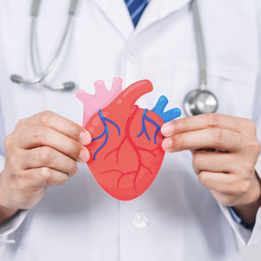 cardiac ultrasound