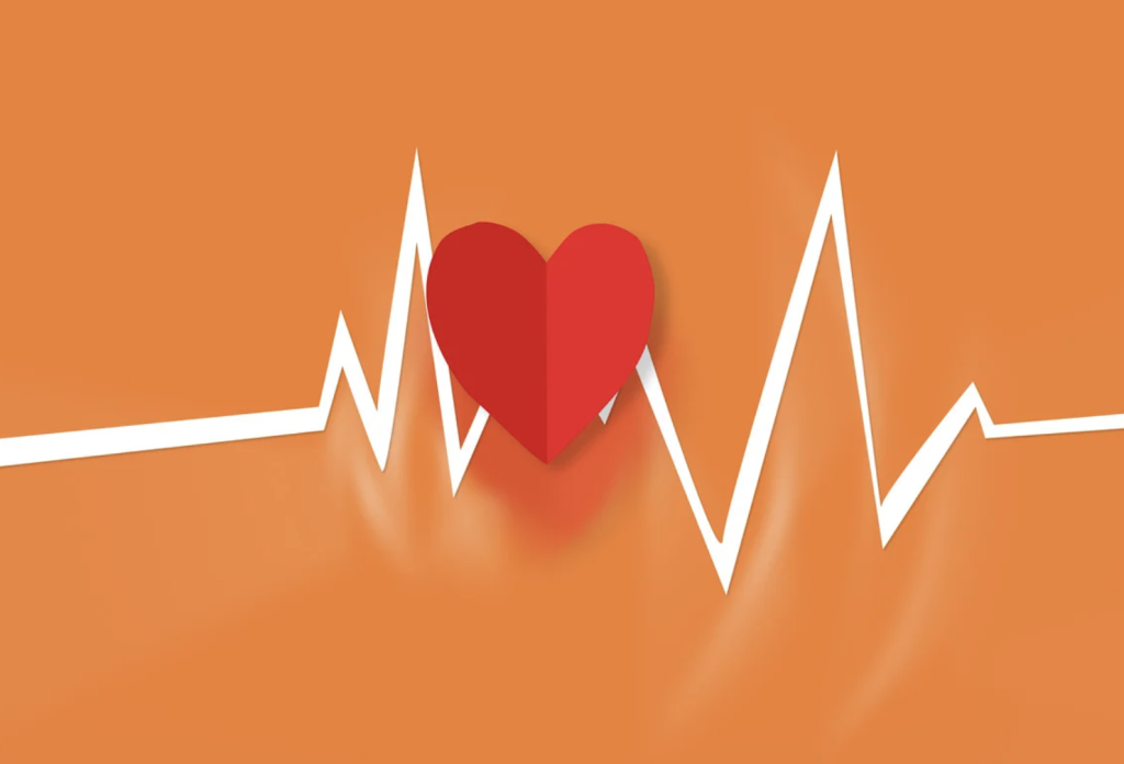 Notre service holter patch : notre service réinventé !