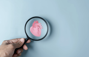 a quoi sert une echographie cardiaque